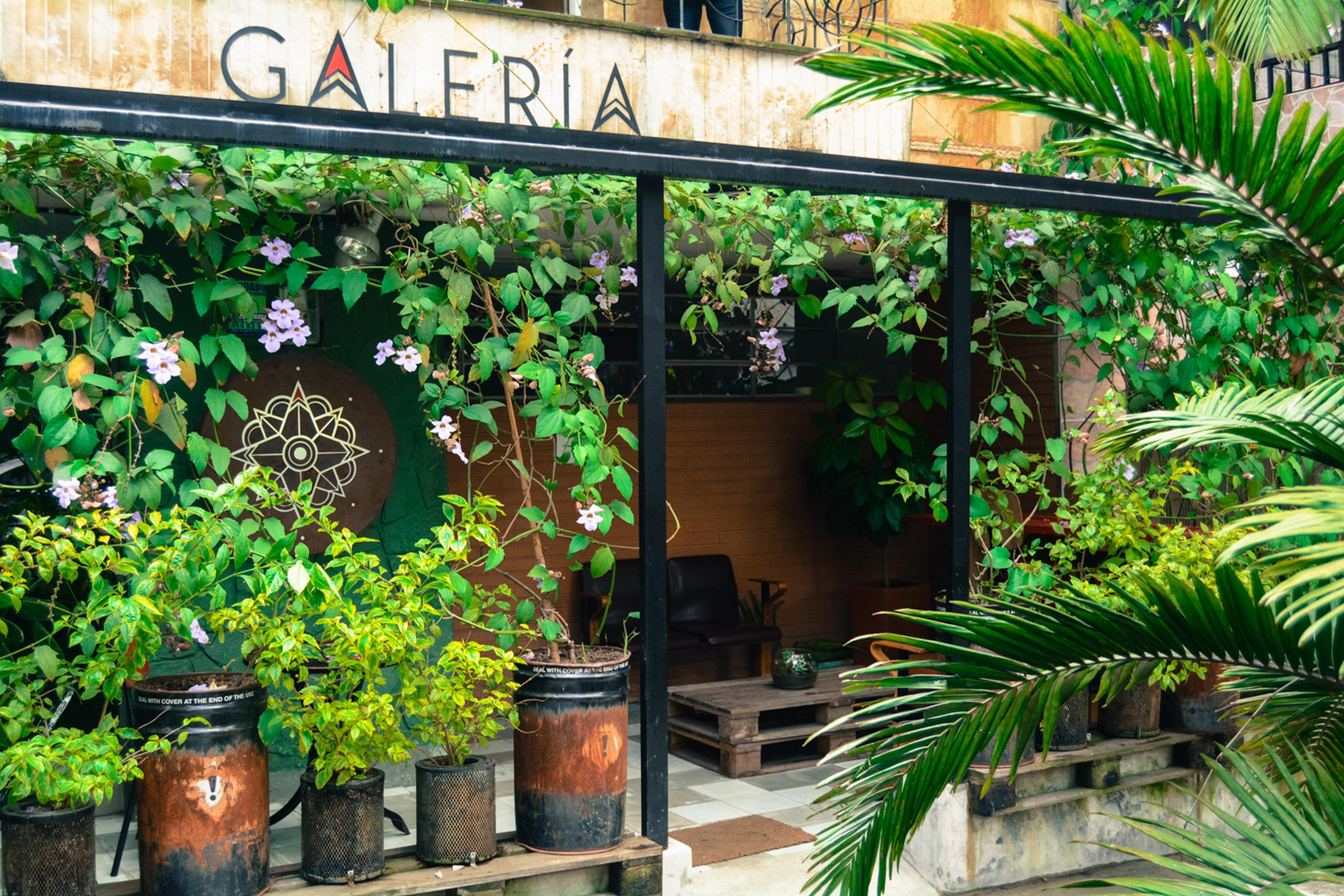 Hostal Casa Estacion Medellín Buitenkant foto